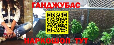крисы Коммунар
