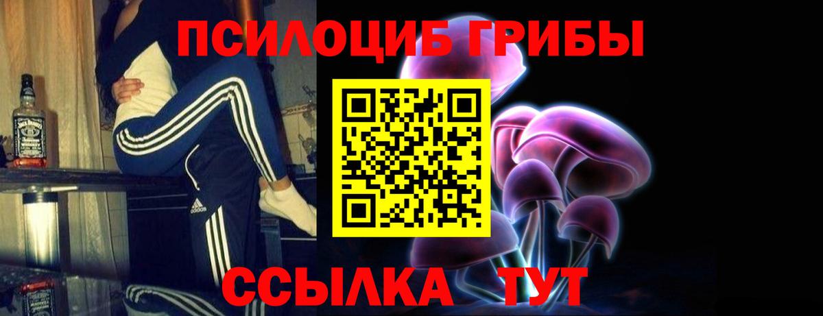 Псилоцибиновые грибы Psilocybine cubensis Кирово-Чепецк